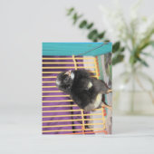 Carte Postale Pep (Debout devant)