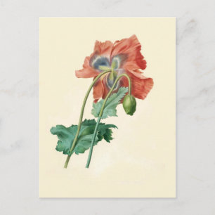 Carte Postale Pépites de Pierre-Joseph Redouté