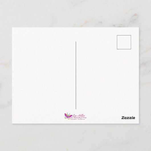 Carte Postale Pépites en chef rouges en verre tendu au lever du (Dos)