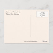 Carte Postale Pépites vintages et papillons (Dos)