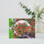 Carte Postale Peppers à l'oeil d'oiseaux (Debout devant)