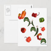 Carte Postale Peppers chili Jamaïque (Devant / Derrière)
