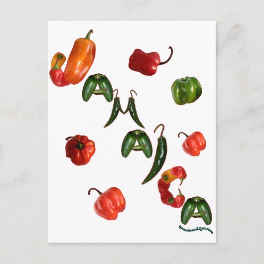 Carte Postale Peppers chili Jamaïque (Devant)