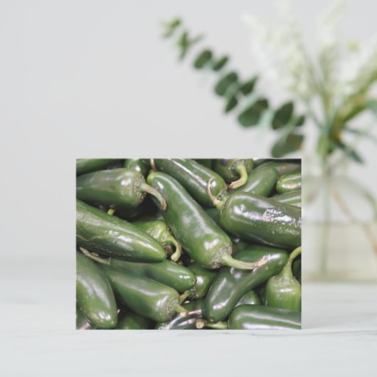 Carte Postale Peppers Jalapeno Vert brillant Encore Vie (Debout devant)