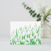 Carte Postale Perce-neige de printemps (Debout devant)