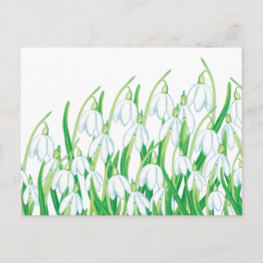 Carte Postale Perce-neige de printemps (Devant)