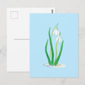 Carte Postale Perce-neige (Galanthus nivalis) Fleurs de début de (Devant / Derrière)