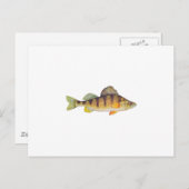 Carte Postale Perche jaune (sans titre) (Devant / Derrière)