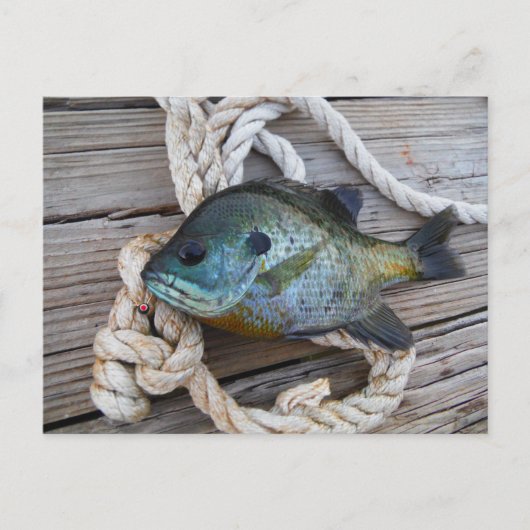 Carte Postale Perche soleil sur quai et corde (Devant)