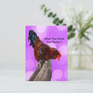 Carte Postale Perchée dans la majesté : Coq sur une lueur violet