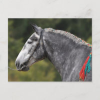 Percheron jument de cheval