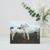 Carte Postale Percherons Se Cultivant (Debout devant)