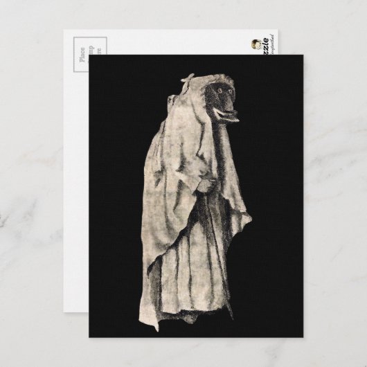 Carte postale Percht Christmas Witch (Devant / Derrière)