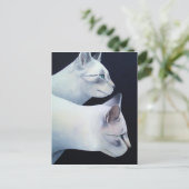 Carte postale Percival & Lancelot (Debout devant)