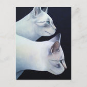 Carte postale Percival & Lancelot (Devant)