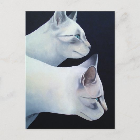 Carte postale Percival & Lancelot (Devant)