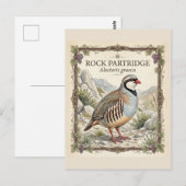 Carte Postale Perdrix bartavelle ,Alectoris Graeca Oiseaux de Ch (Devant / Derrière)