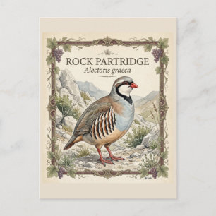 Carte Postale Perdrix bartavelle ,Alectoris Graeca Oiseaux de Ch