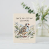 Carte Postale Perdrix bartavelle, Alectoris Graeca Oiseaux de Ch (Debout devant)