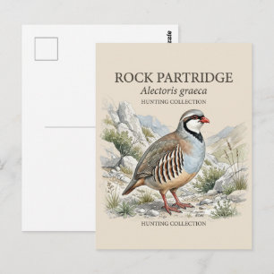 Carte Postale Perdrix bartavelle, Alectoris Graeca Oiseaux de Ch