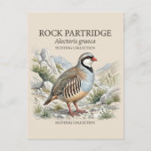 Carte Postale Perdrix bartavelle, Alectoris Graeca Oiseaux de Ch (Devant)