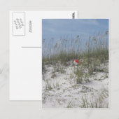 Carte Postale Perdu dans les dunes (Devant / Derrière)