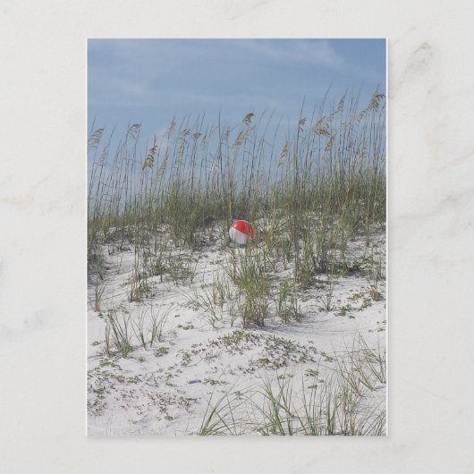 Carte Postale Perdu dans les dunes (Devant)