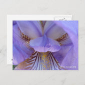 Carte Postale Perdu dans un rêve (Devant / Derrière)