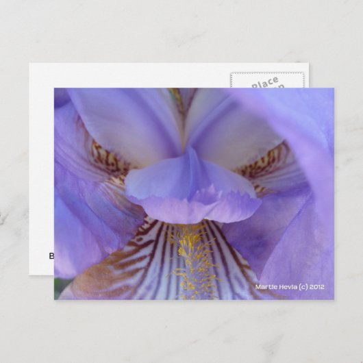 Carte Postale Perdu dans un rêve (Devant / Derrière)