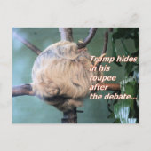 Carte postale perdue de Trump bizarre (Devant)