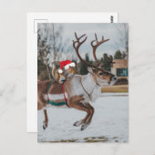 Carte Postale Père Noël adorable Écureuil sautant Renne dans la  (Devant / Derrière)