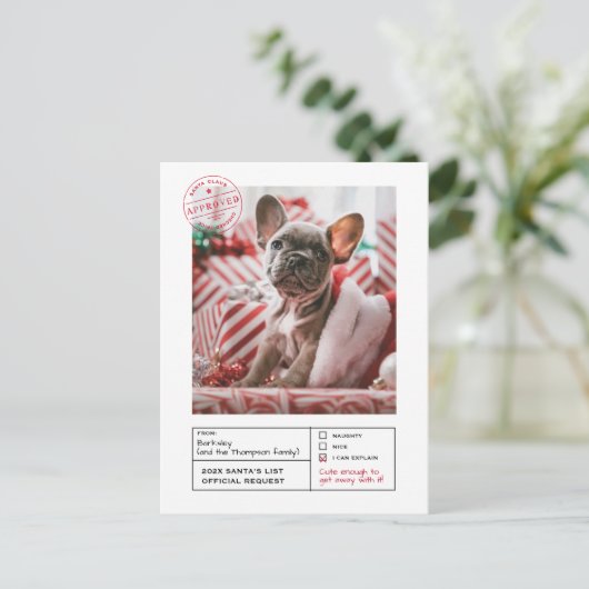 Carte Postale Père Noël Approuvée Naughty ou Nice (Debout devant)