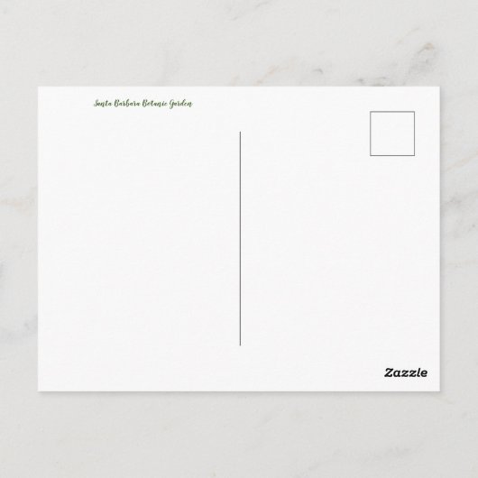 Carte Postale Père Noël Barbara Botanic Garden (Dos)