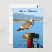 Carte Postale Père Noël Barbara Seagull (Devant / Derrière)