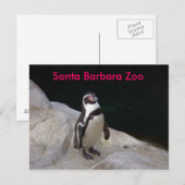 Carte Postale père Noël Barbara Zoo (Devant / Derrière)