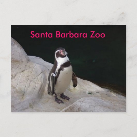 Carte Postale père Noël Barbara Zoo (Devant)