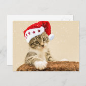 Carte Postale Père Noël Cat (Devant / Derrière)