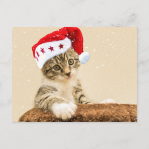 Carte Postale Père Noël Cat