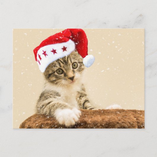 Carte Postale Père Noël Cat (Devant)