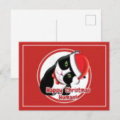 Carte Postale Père Noël Cat (Devant / Derrière)