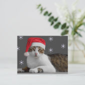Carte postale père Noël Cat (Debout devant)