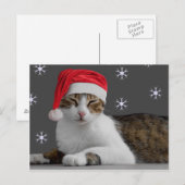 Carte postale père Noël Cat (Devant / Derrière)