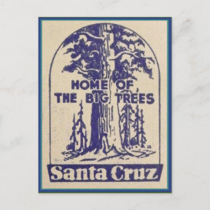 Carte Postale père Noël Cruz California - Maison des grands arbr