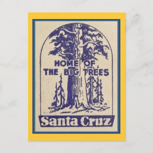 Carte Postale Père Noël Cruz California - Maison des grands arbr (Devant)