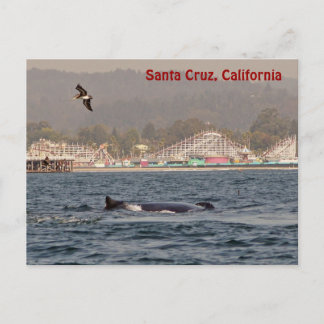 Carte postale père Noël Cruz, Californie