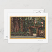 Carte Postale Père Noël Cruz County, CA Entrée de Big Trees Park (Devant / Derrière)