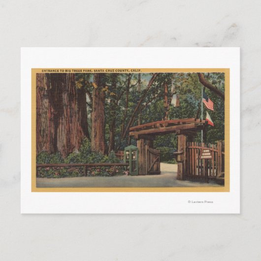 Carte Postale Père Noël Cruz County, CA Entrée de Big Trees Park (Devant)