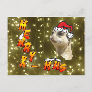 Carte postale père Noël Meerkat Merry Christmas Sp