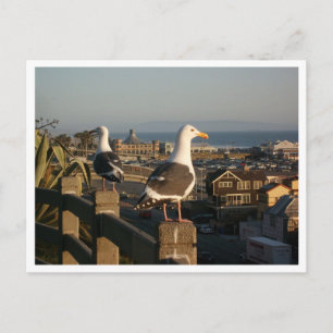 Carte postale père Noël Monica