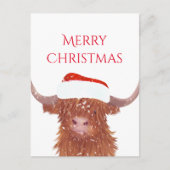 Carte Postale Père Noël Orange Highland Cow Joyeux Noël (Devant)